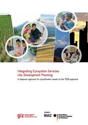 Integrating Ess Into Development Planning Cover
